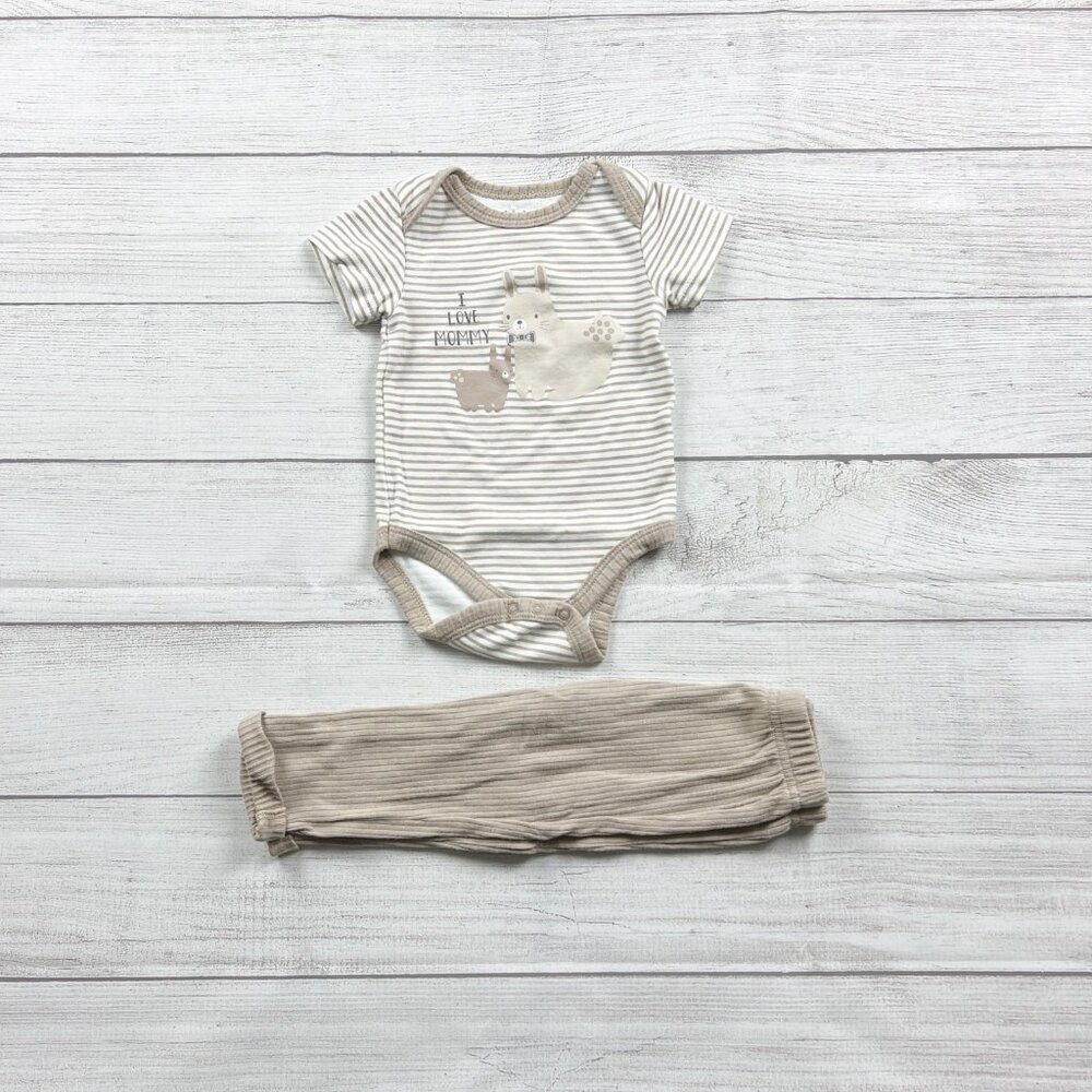Chick Pea Bunny Graphic Outfit